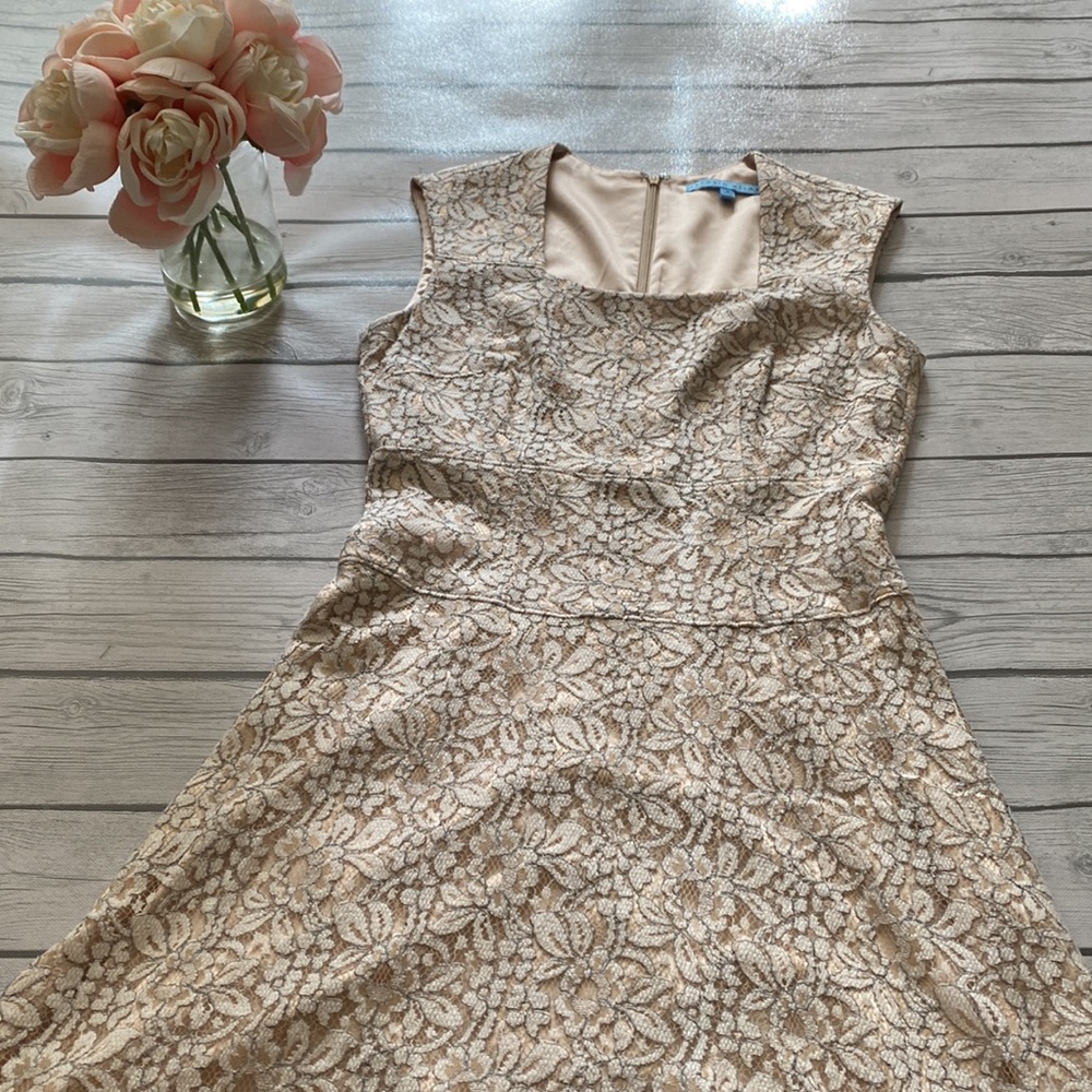 Antonio Melani Lace Overlay Fit and Flare Dress Size 4